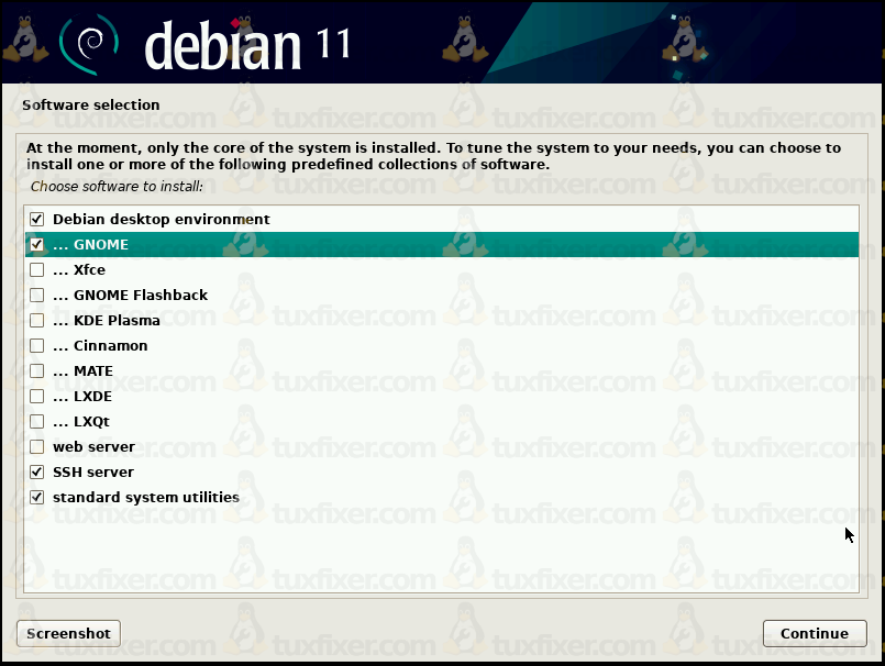 Debian 11 Bullseye choose software